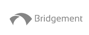 Bridgement small logo | Hippo.co.za