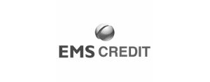 EMS Credit small logo | Hippo.co.za