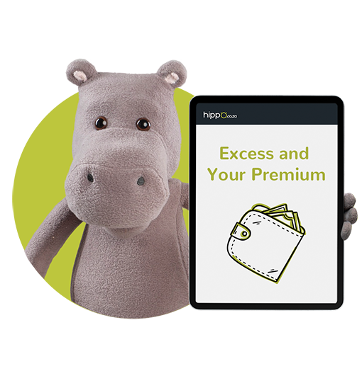 How-Excess-Affects-Your-Premium