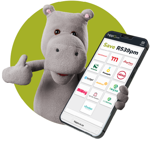 Hippo holding phone, Save 'R539 on car insurance'
