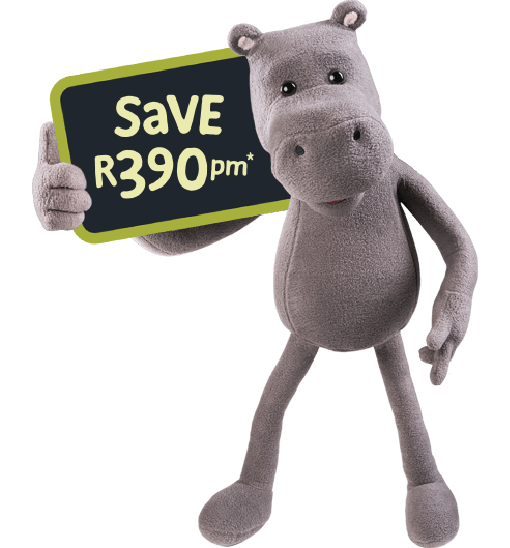 Hippo holding board, Save 'R390 on car insurance'