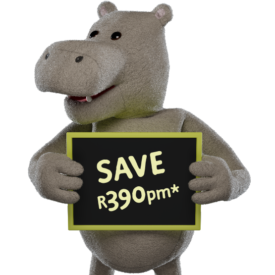 Compare Insurance Car Cover Options Hippo