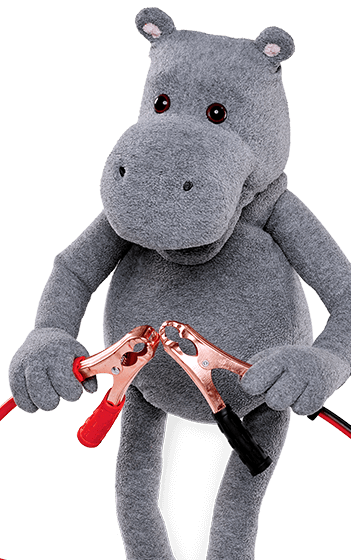 Motor Warranty Quotes