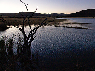 Pilanesberg National Park, North West Province