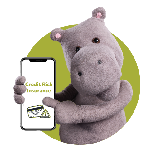 Credit Risk Insurance