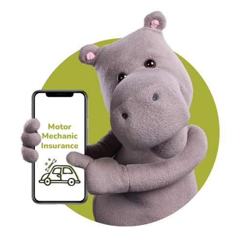 Motor Mechanic