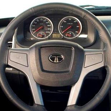 Tata Xenon steering wheel.