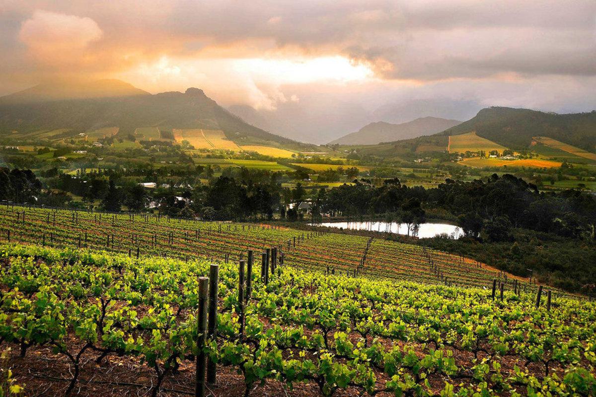 South Africa’s Top Winter Destinations | Franschhoek | Hippo.co.za