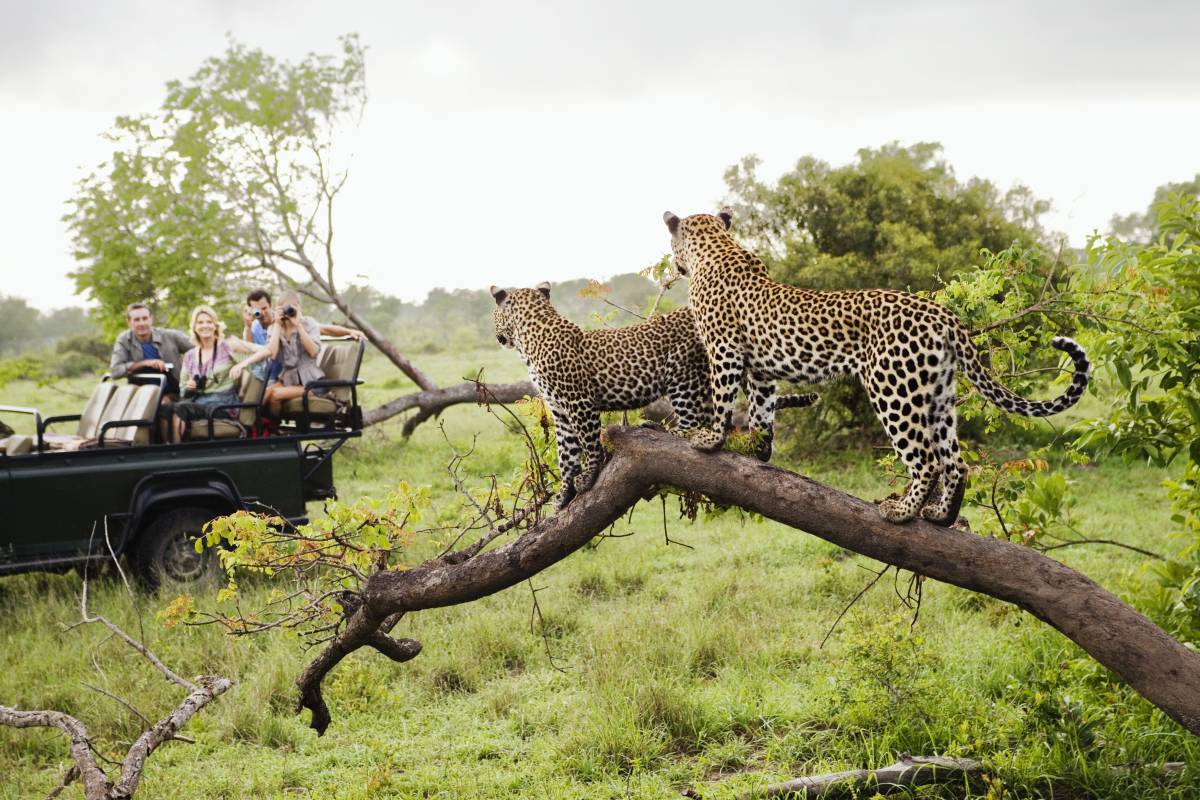 South Africa’s Top Winter Destinations | Kruger National Park | Hippo.co.za