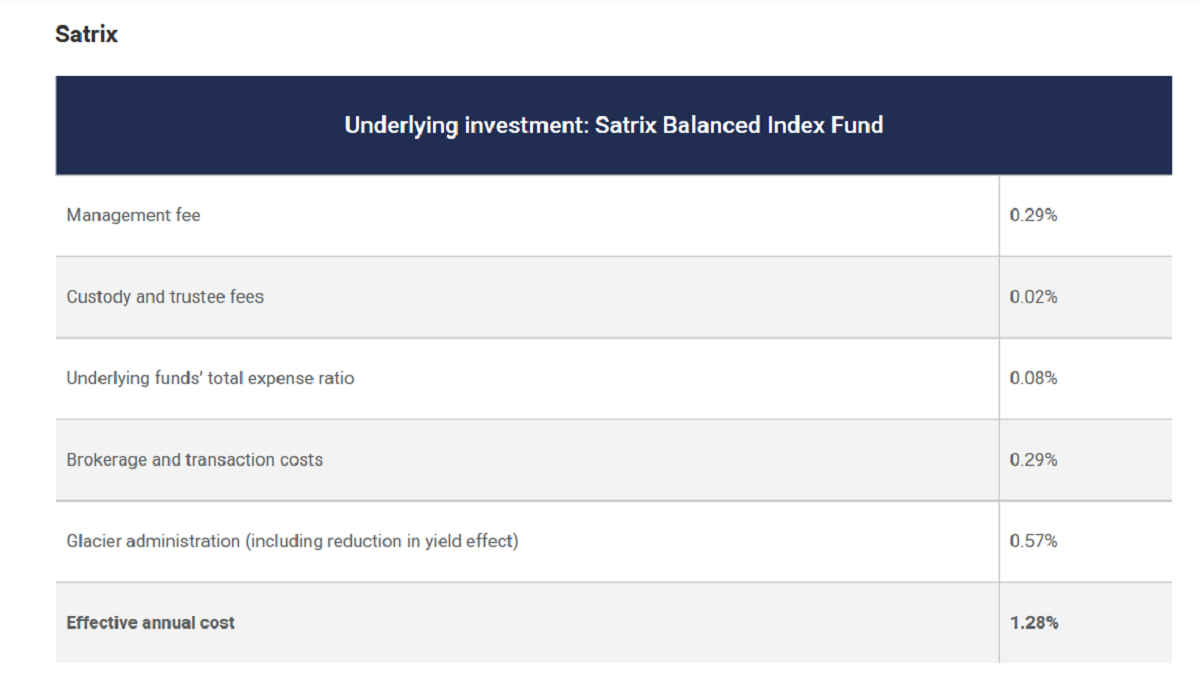 Satrix Balanced Index Fund | Life Insurance Blog | Hippo.co.za