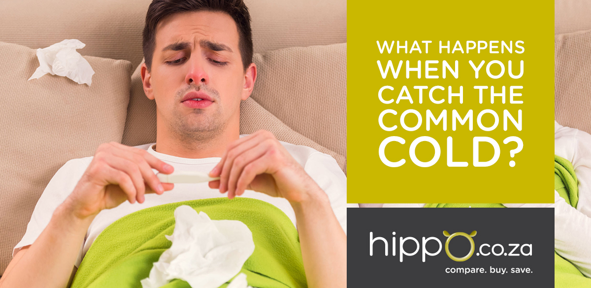 Read Our Latest Health Advice Articles | Blog | Hippo