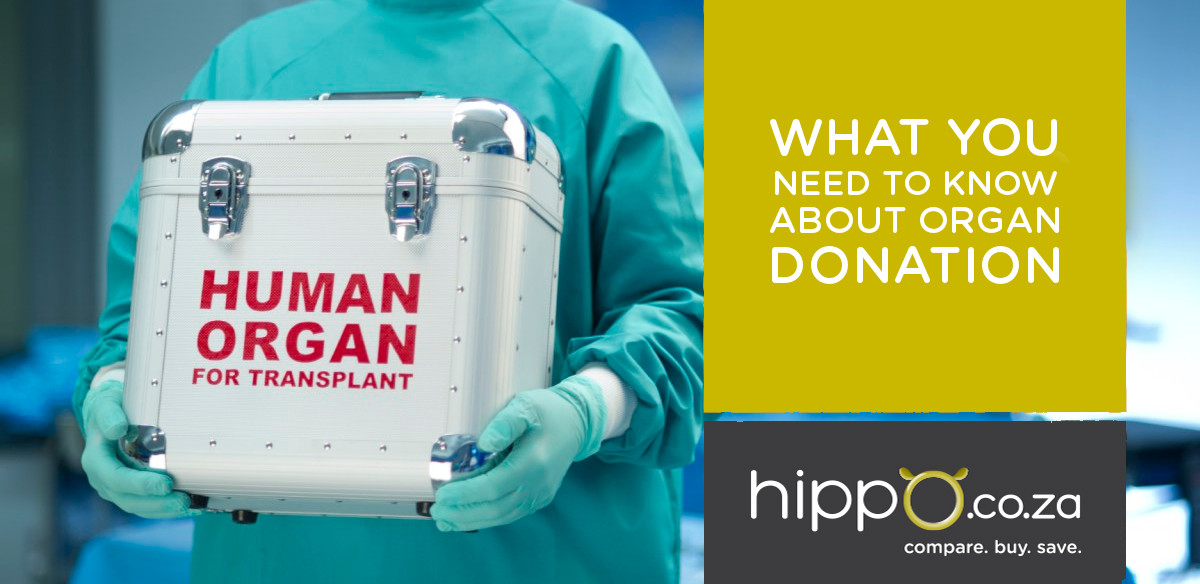 What You Need to Know About Organ Donation | Funeral Cover Blog | Hippo.co.za