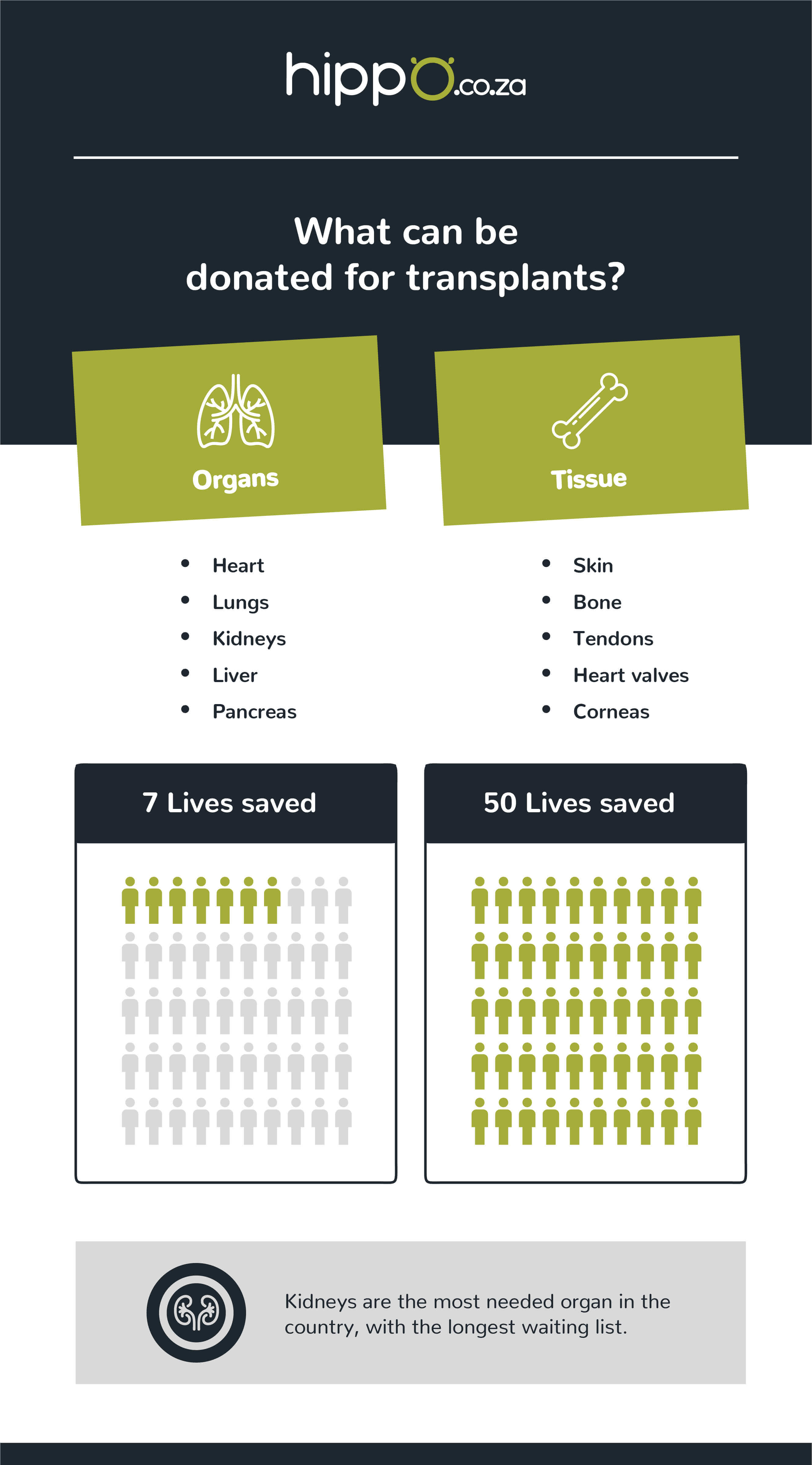 What can be donated for transplant infographic
