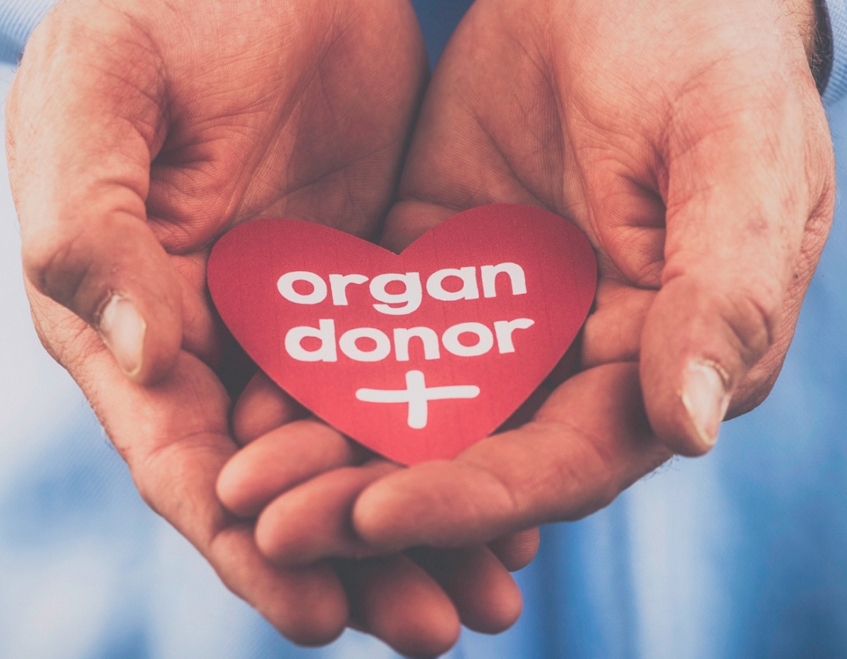 How Does Organ Donation Work | Funeral Cover Blog | Hippo.co.za