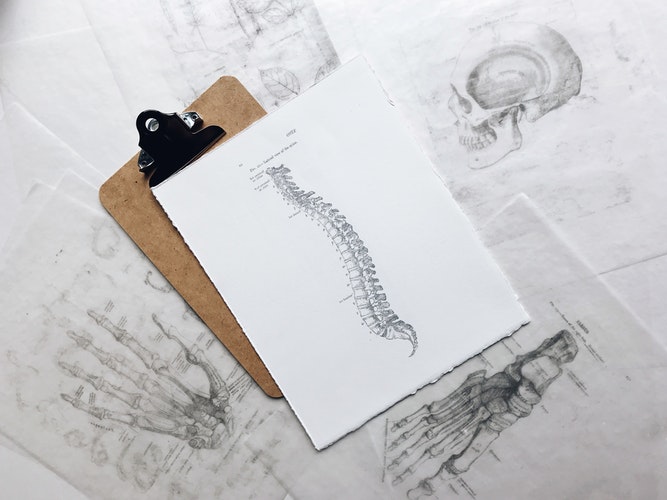 Clipboard with spinal, skull and hand illustrations.