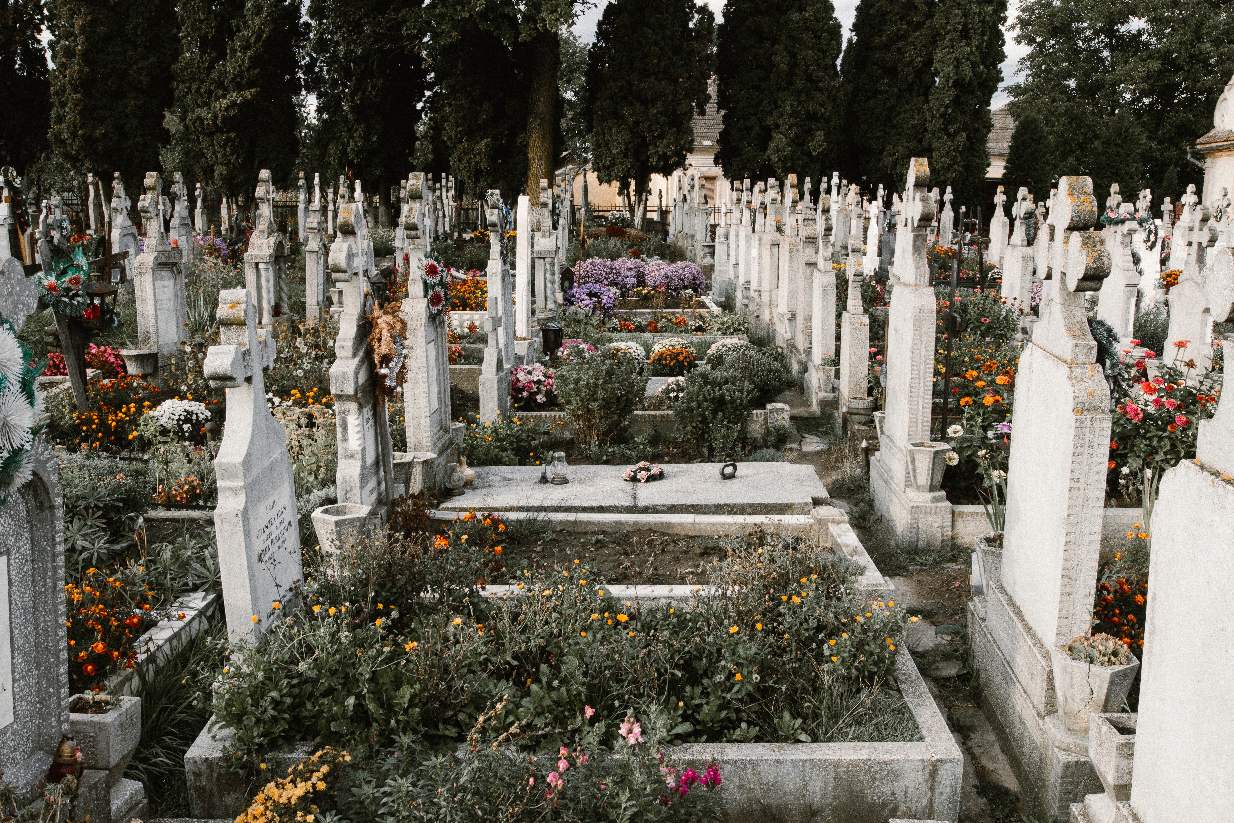 Graveyard with grey tombstones and colourful flowers.