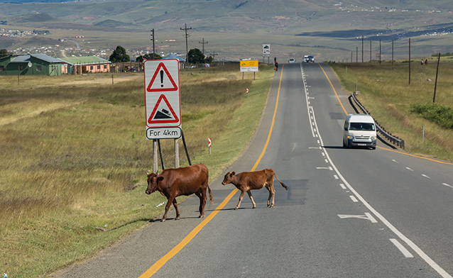 Driving through countryside on South African roads