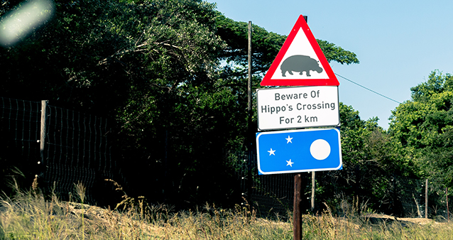 hippo's crossing strange road signs