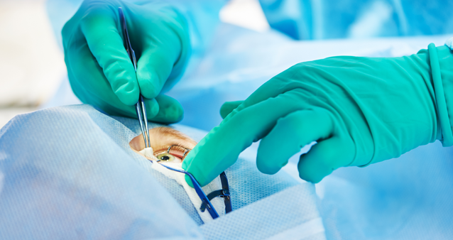 Ophthalmologist performing a procedure