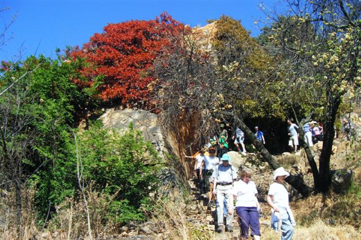 Melville Koppies Heritage Hikes