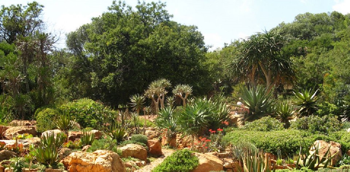 Walter Sisulu National Botanical Gardens