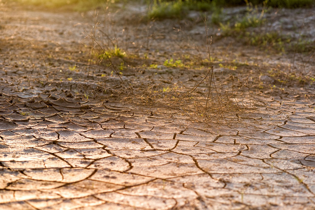 Western Cape Declared Disaster Zone Due to Ongoing Drought