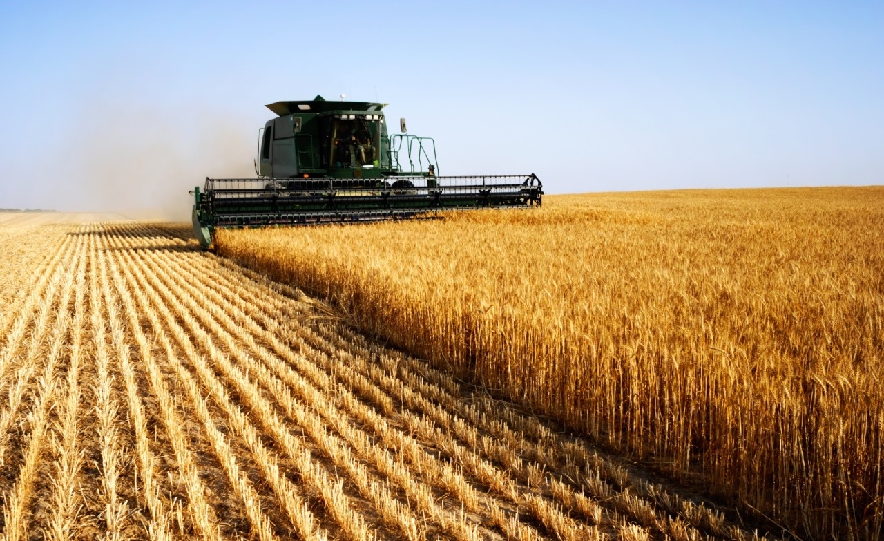 Agricultural Land | Business Insurance News | Hippo.co.za