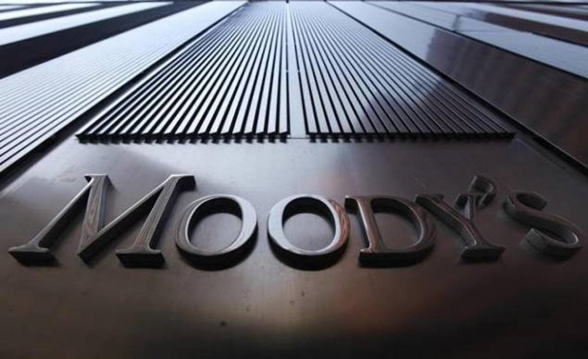 Moody's Investors Service | Business Insurance | Hippo.co.za