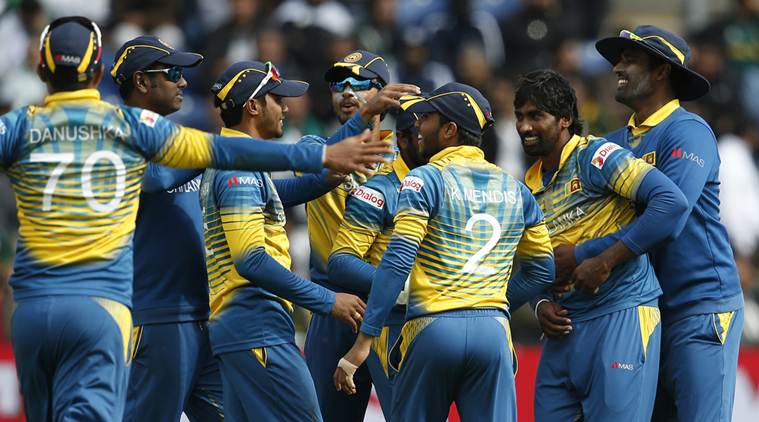 Sri Lankan cricket team members celebrating a victory in the field.