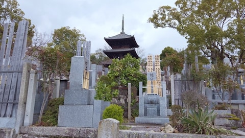 Japanese graveyard with tombstones with wooden markings and a Pagoda.