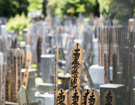 Japanese wooden grave markings on graves at a cemetery.