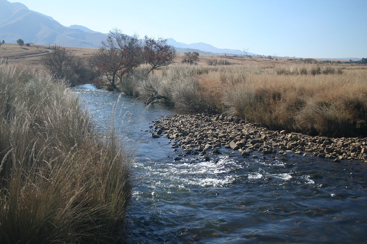 Body of Missing Swiss Man Found in Crocodile River | Funeral Cover News | Hippo.co.za