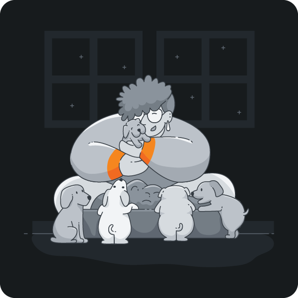 Dotsure - Best Pet Insurance Company | Hippo.co.za