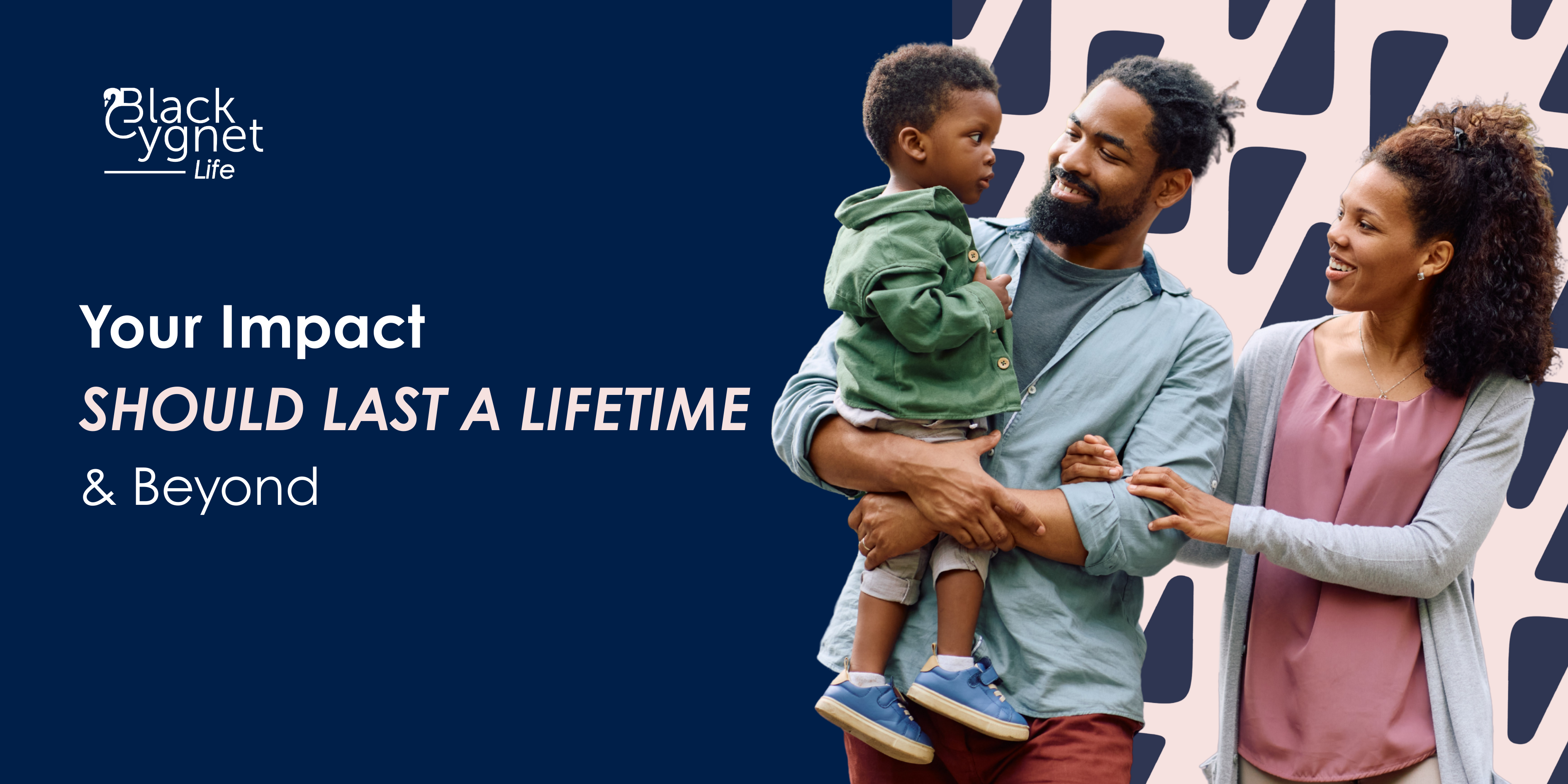 Black Cygnet Life Financial Services Provider | Hippo.co.za