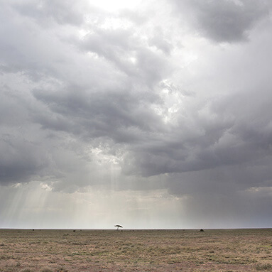 Grey skies, with a hint of sunbeams shining on plain grass with patches of dry and green grass.