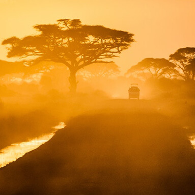 Sunset safari drive on a dirt path with solitary SUV vehicle.