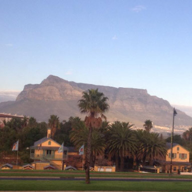 Table Mountain and palm trees, Cape Town