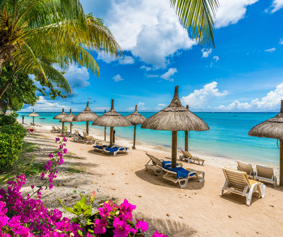 Blue and white pool loungers overlooking a big swimming pool with thatched gazebos and trees in the background.