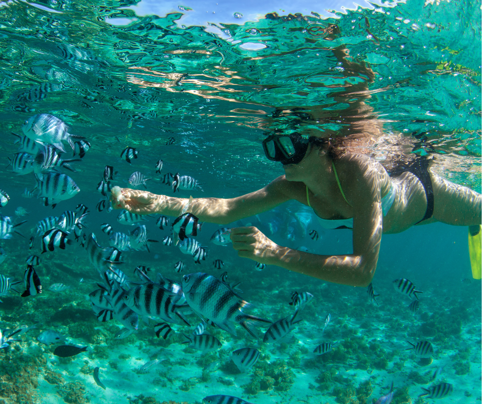 People on horses on the beach with blue cloudy sky and the sea in the background.