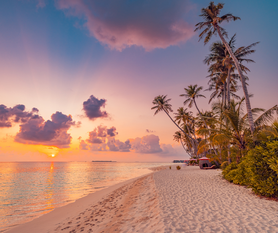 Rocky beach front with trees and cloudy sky in the background.