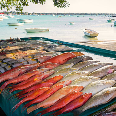 Fish stall with small boats on the seashore in the background.