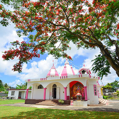 Pink and white Hindu temple with a tree on the front right side of the temple.