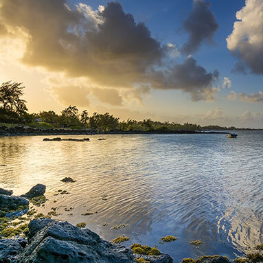 Rocky beach front with trees and cloudy sky in the background.