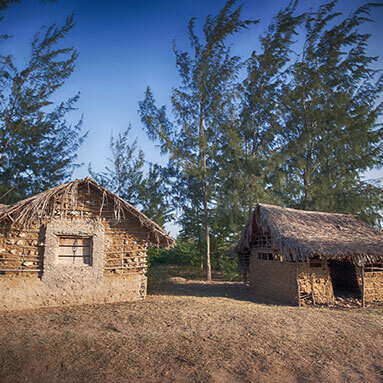 Two grass thatched mud houses with trees in the background.