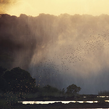 Gorgeous view of Victoria Waterfalls with birds flying up to sun setting over water cascading over rock surface.