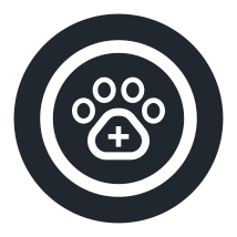 Pet Medical Insurance