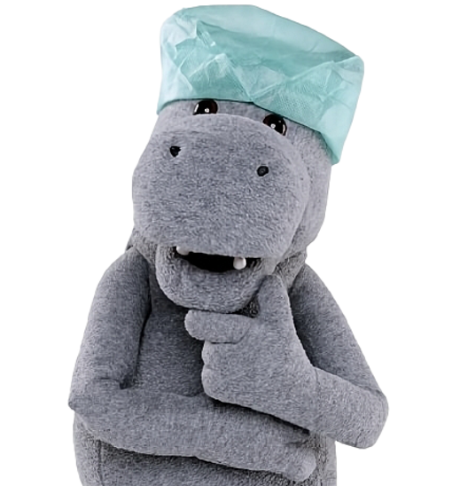 Save up to R590pm on medical aid with Hippo Medical Hippo, Save 'up to R590pm on medical aid'
