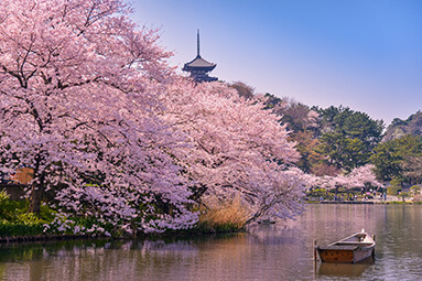 Travelling with Nissan Travelling with Nissan