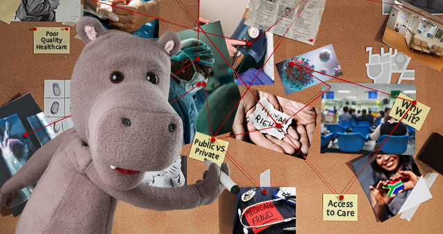 Hippo working on strategy map board Hippo working on strategy map board