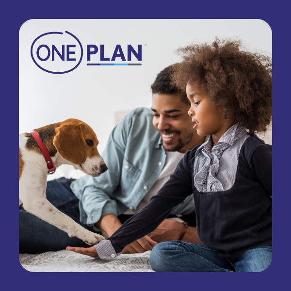 Oneplan | Hippo.co.za Oneplan | Hippo.co.za